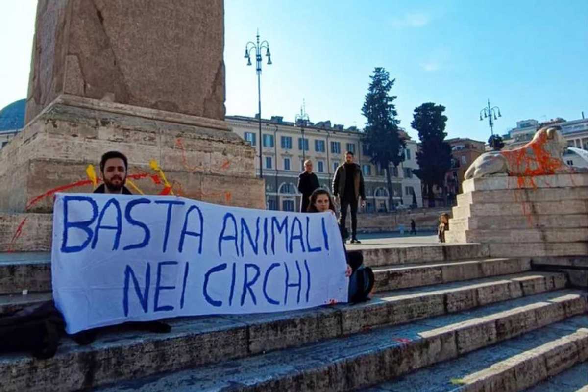 attivisti piazza popolo